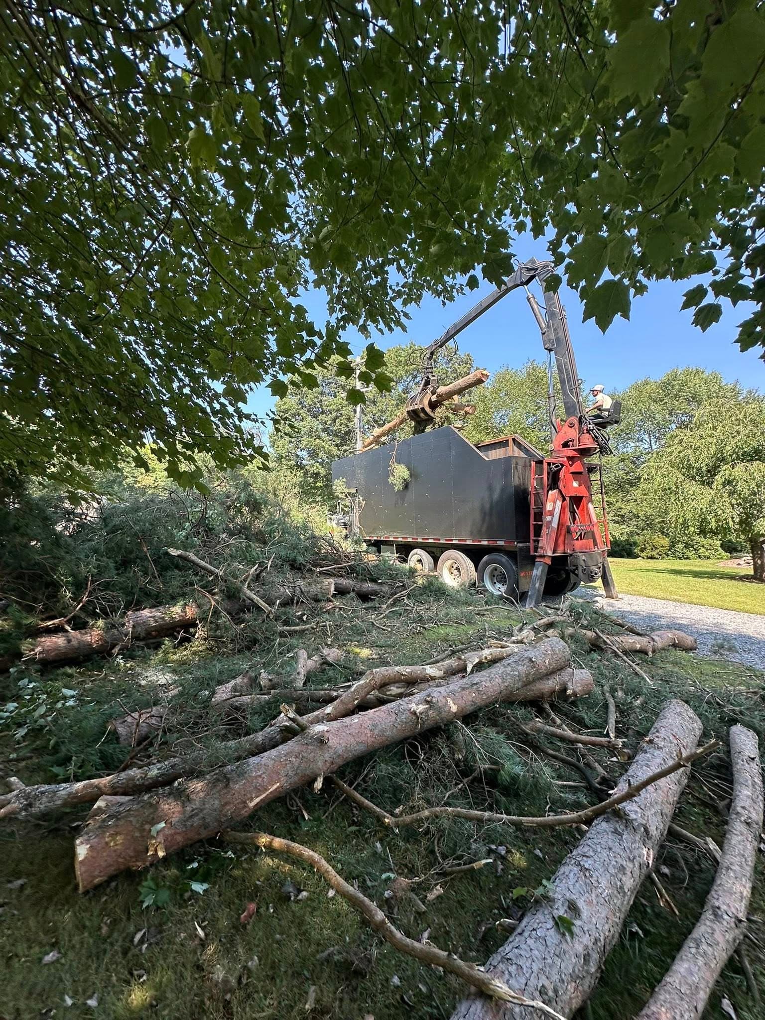 Crane truck loading a felled tree for haul-away